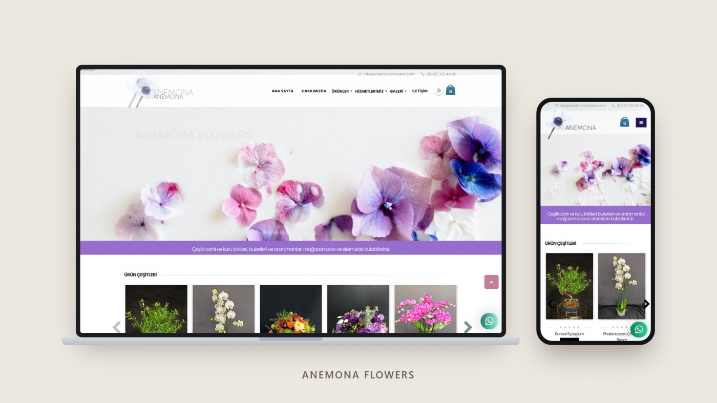 Anemona Flowers