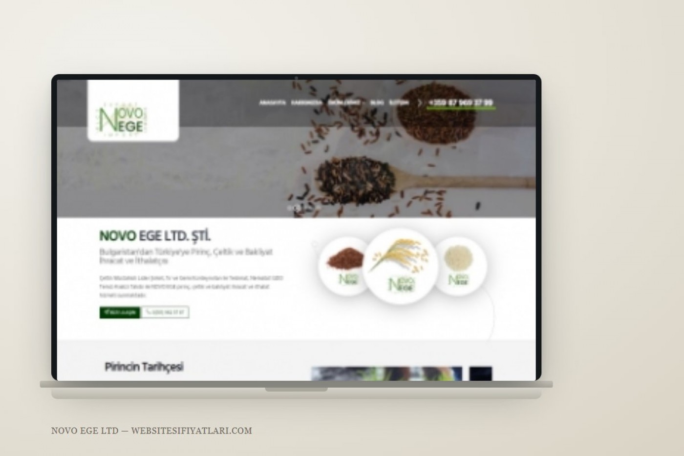 Novo Ege Ltd