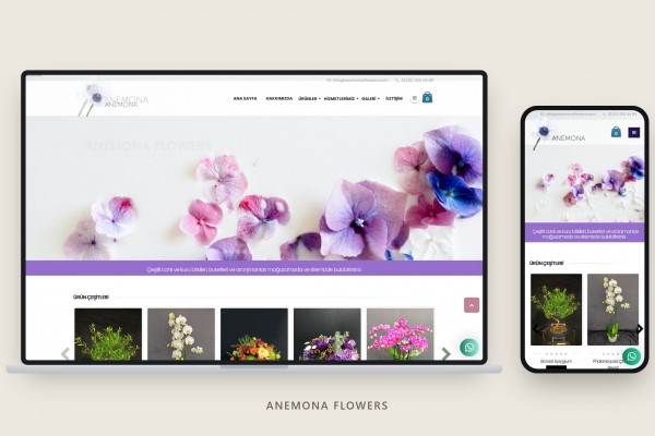 Anemona Flowers