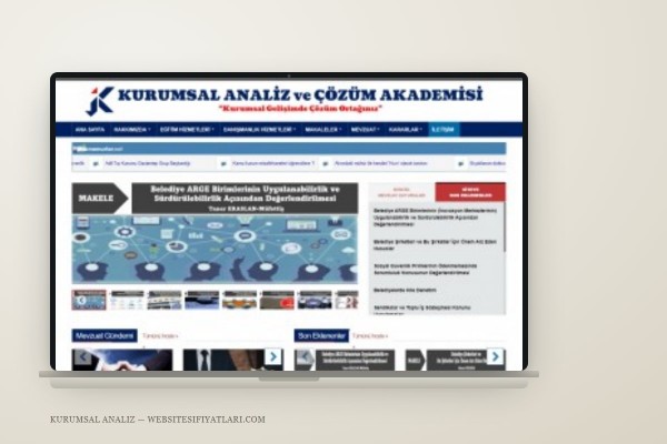 Kurumsal Analiz