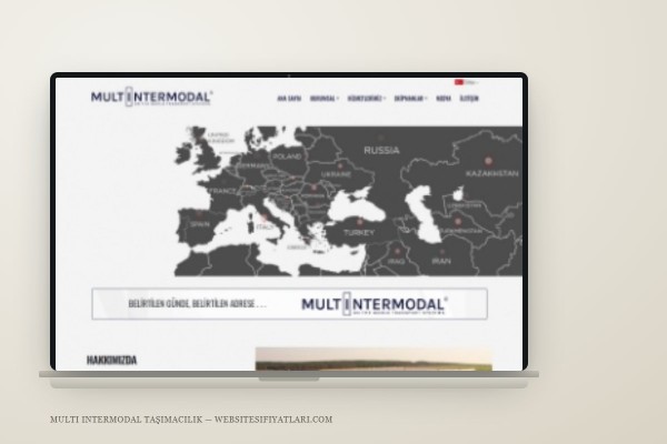 Multi Intermodal Taşımacılık